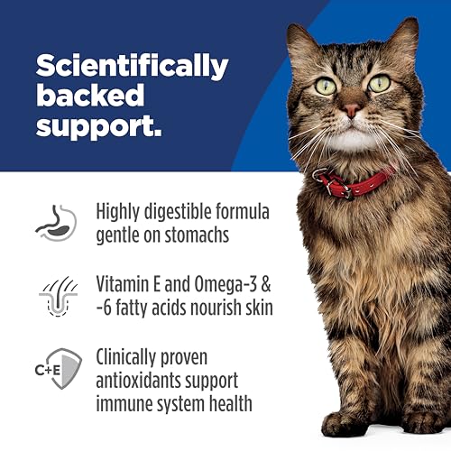 Sensitive Stomach & Skin Dry Cat Food (6 Pound (Pack of 1))