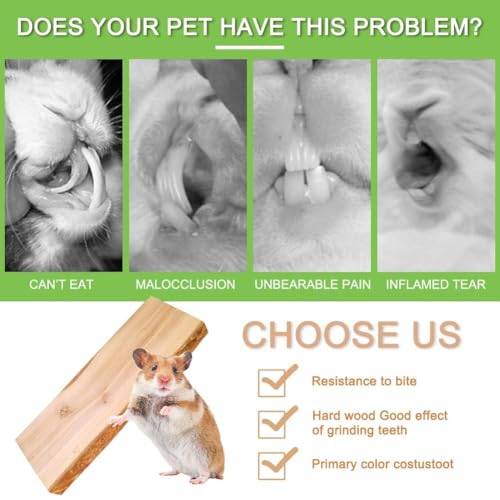 2Pcs Hamster Ledges Wooden Platform 2.6 x 6 Inch Rat Climb Platform Shelf Bird Perch Stand Toys Cage Accessories for Rat Gerbil Suger Glider (6 × 2.6 inch)