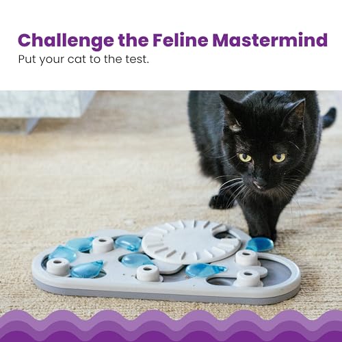 Nina Ottosson Rainy Day Puzzle & Play Cat Toy Treat Puzzle