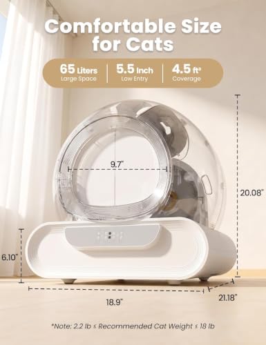 Self Cleaning Litter Box