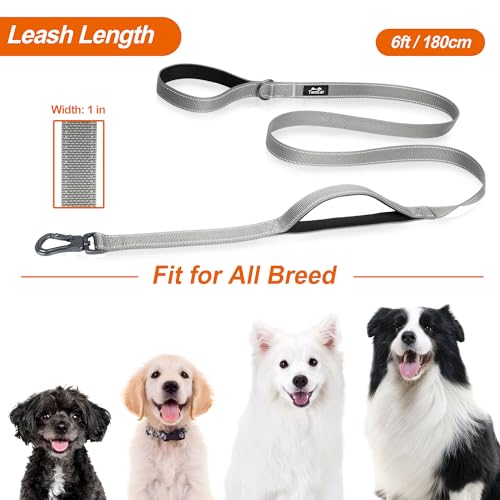 6FT 1IN Heavy Duty Dog Leash for Large Dogs with 2 Padded Handles (Grey / 1 in x 6 ft)