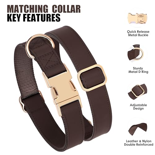 Soft PU Leather Dog Collar (S: Fit 9-14" Neck(10-20 lbs) / Brown)