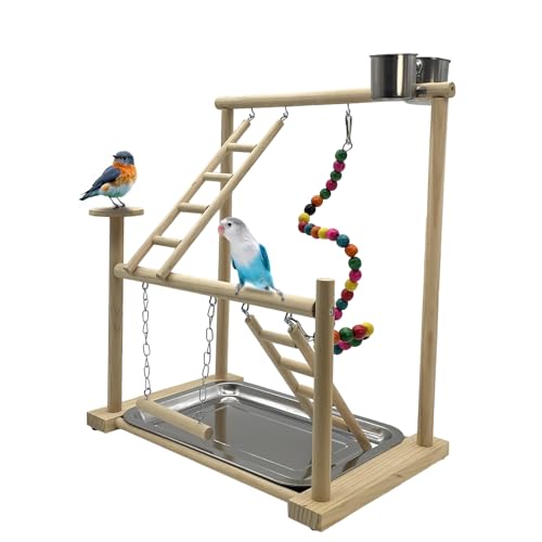 Small Bird Playground Parakeet Play Gym Wooden Parrot Perch Stand