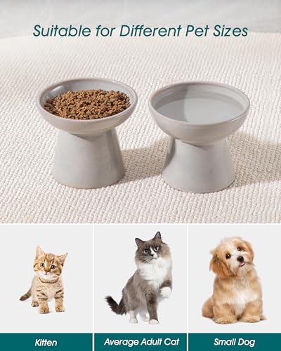 2 Pack Extra Wide Elevated Cat Bowls (Grey)