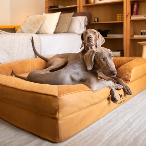 XXL Dog Bed Orthopedic Memory Cooling Foam (Camel - LE / XX-Large)