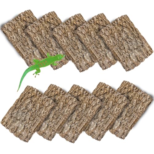 Cork Terrarium Background 11.8x7.9in 10PCS Natural Reptile Cork Bark Flats Terrarium Board Bearded Dragon Climbing Wall Mat Tank Accessories Decor for Lizard Chamelon Snake Turtle Spider Crested Gecko (10PCS-11.8x7.9in)