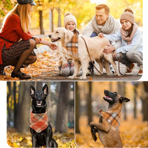 Fall Dog Bandana (Large / Fall)