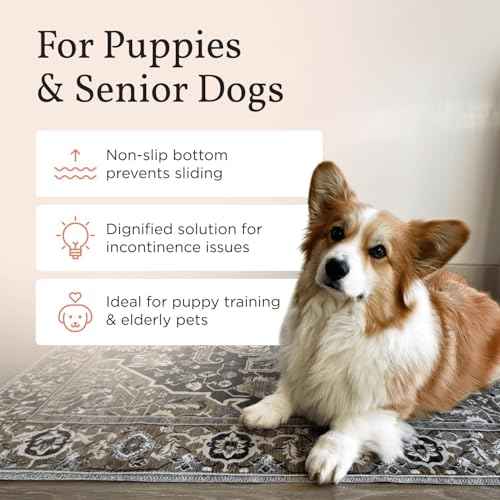 Lovewag Reusable Washable Dog Pee Pads (Mystic Fuchsia / 16x24 inches (Pack of 2))