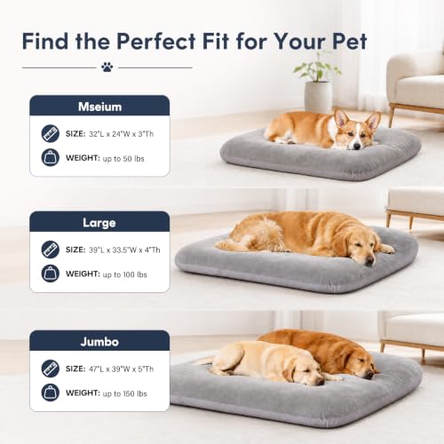 Orthopedic Large Dog Bed 39 Inch (39.0"L x 33.5"W x 4.0"Th / Grey)