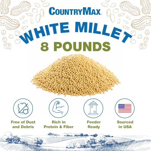 8LB White Proso Millet Bird Seed for Wild Birds & Finches (White Millet / 8 Pound (Pack of 1))