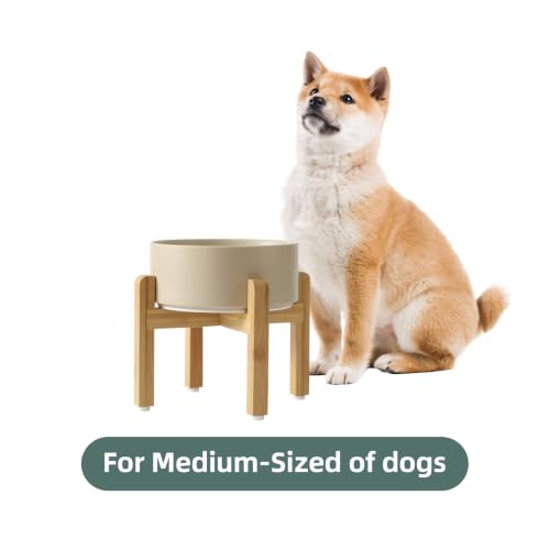 Dog Bowls Elevated (Matte Khaki)