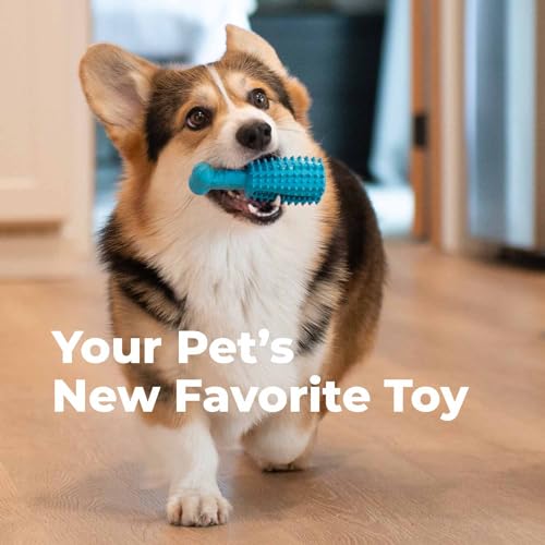 Premium Dog Dental Chew Toy (Large)