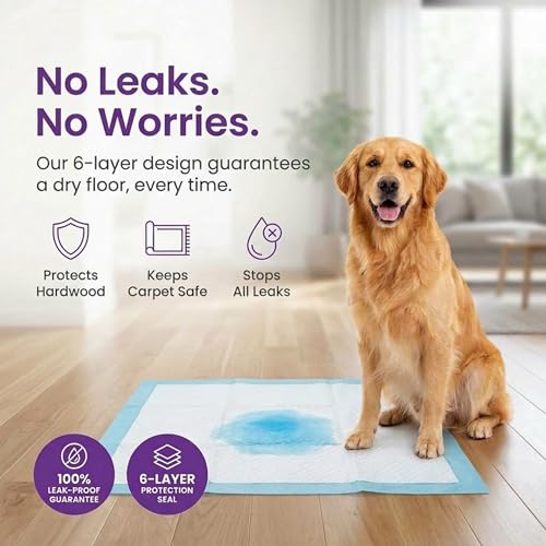 Puppy Pads XL 40 Count 34"x28" (XL / 40-Count (Standard))
