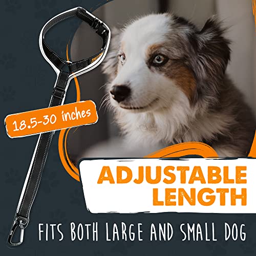 Dog Seat Belt for Car Headrest (Headrest Attachment)
