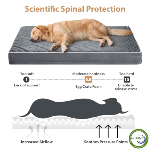 Orthopedic Giant Human Dog Beds for Adult & Dog Cozy Sleep (Grey / 61"L x 43"W x 4"Th)