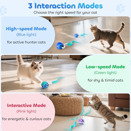 Interactive Cat Toy Ball for Indoor Cats with 3
