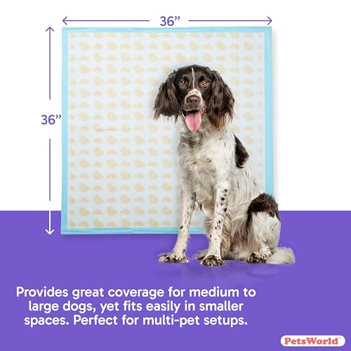 Giant Dog Potty Pads (36x36 Health Indicating / 100 Count)