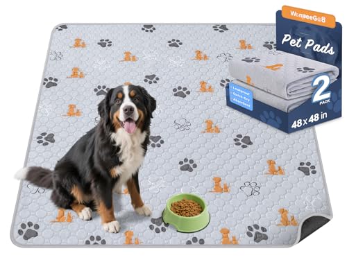 Washable Pee Pads for Dogs (Orange / 48"x48" (Pack of 2))