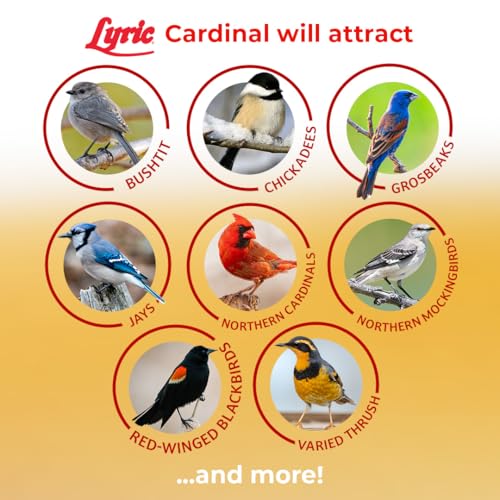 Cardinal Wild Bird Seed for Outside Feeders (3.75 Pound (Pack of 1))
