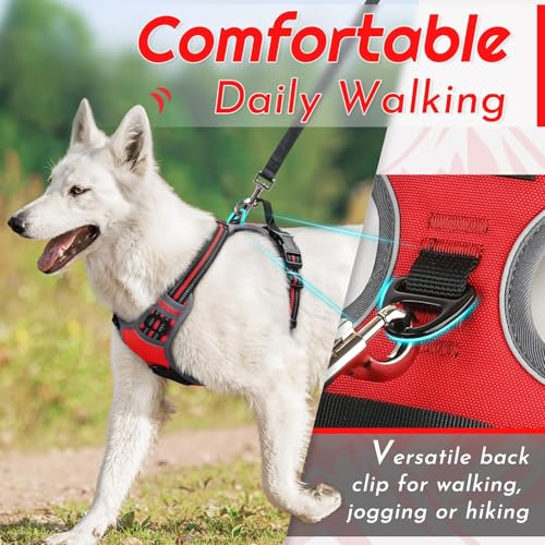 Dog Harness for Small Dogs (Small / Red)