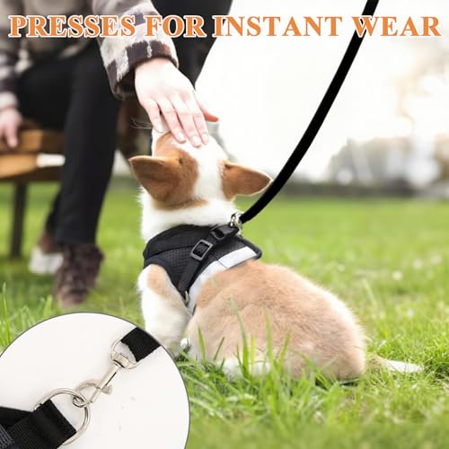 Cat Harness and Leash for Walking