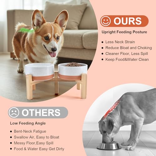 Elevated Dog Bowls Ceramic (6.1 in - 3.6 cups / Pattern White)