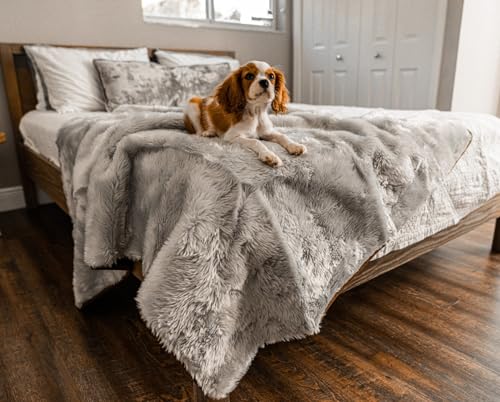 PupProtector Waterproof Throw Blanket for Dogs and Cats (Short Grey / Large (80" L x 62" W))