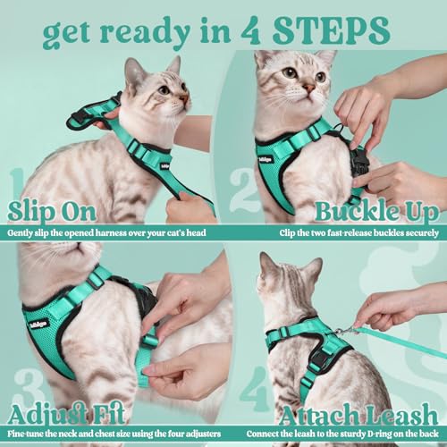 Cat Harness and Leash Set (Xs / Emerald)