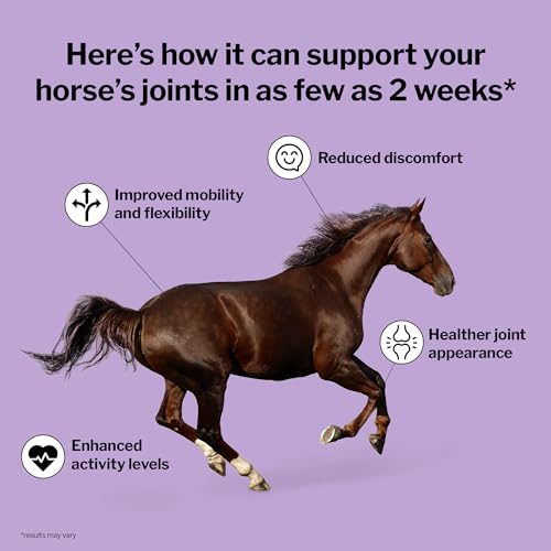 Joint 6-in-1 Supplement for Horses, 5 lb, 40-80 Servings (5 lb Bag)