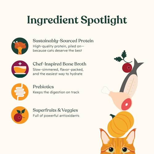 Pate Wet Cat Food Variety Pack