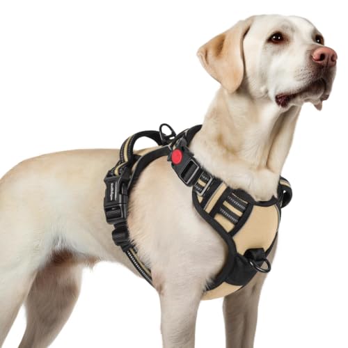 Dog Harness for Large (Large / Beige)
