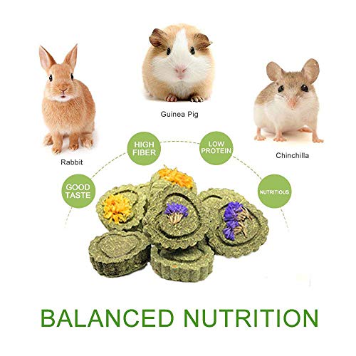 Bunny Chew Toys for Teeth (1 Pack Timothy Hay Circle)