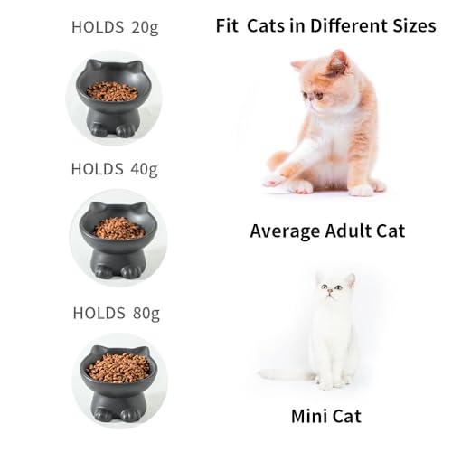 Elevated Cat Bowls (4.5 OZ+8 OZ / Matte Black)