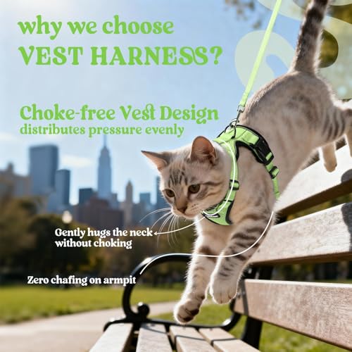 Cat Harness and Leash Set (M / Light Green)