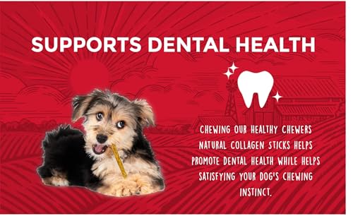 Healthy Chewers (100 Count (Pack of 1))