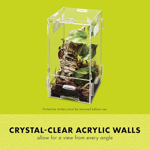 Micro Habitat Terrarium (Small / Arboreal / Clear)