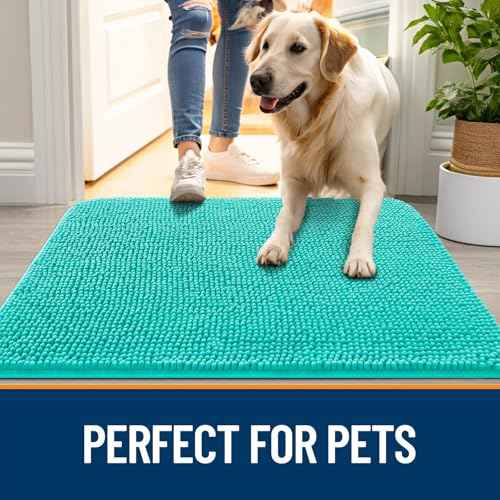 Dog Door Mat for Muddy Paws 45x27 (Teal / 45" X 27")