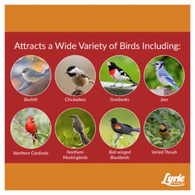 Cardinal Bird Seed Mix (288 Fl Oz (Pack of 1))