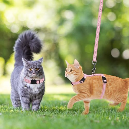 Cat Harness with Leash and Collar Set (Medium / Pink)