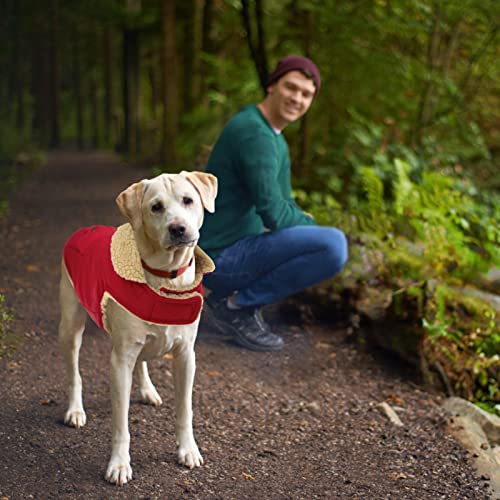 Warm Dog Cold Weather Coat Thick Quilting Small Winter Jacket (Small / Red)