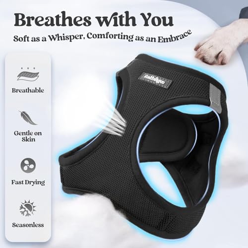 Dog Harness Medium Sized and Leash Set (Black / Xxl (chest: 21.6 - 23.7"))