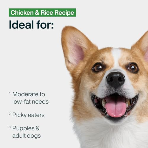 Pantry Fresh Wet Dog Food (12.5 Ounce (Pack of 12))