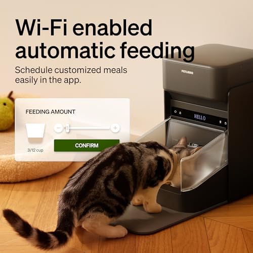 RFID Automatic Cat Feeder (Black / 3L (Pack of 1))