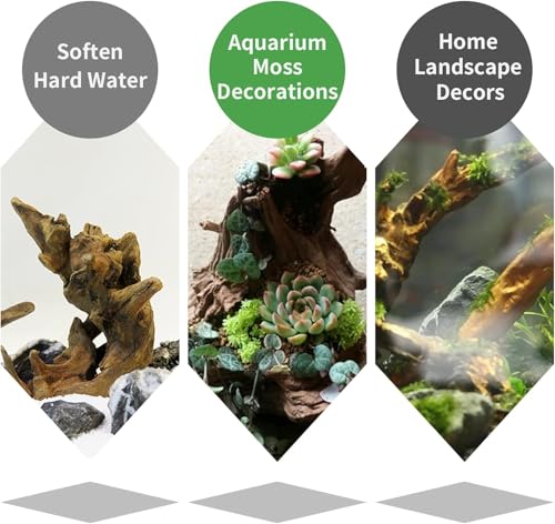 12Pcs Small Driftwood for Aquarium 4.1"