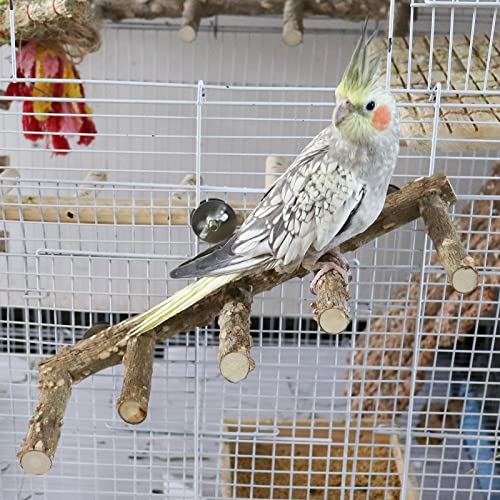 15.7 Inch Large Bird Perch Stand
