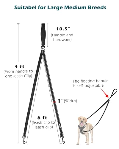 Two Point Control Dog Leash (Black)