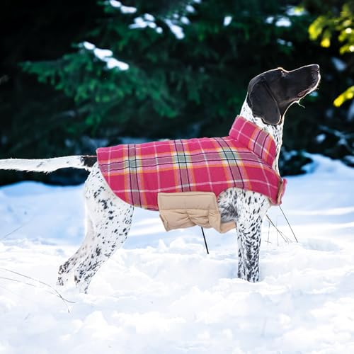 Waterproof Dog Coat (Rose / Large (Pack of 1))