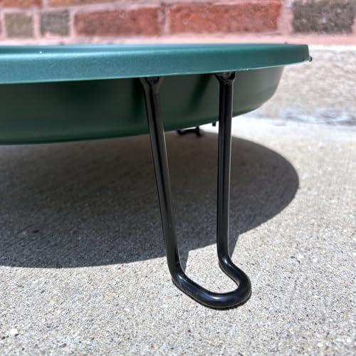 Ground Level Bird Bath