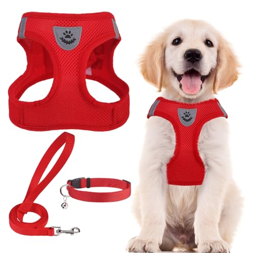Dog Harness Collar and Leash Set No Pull for Small Medium Sized (Solid Red / M (CHEST 16"-18"))