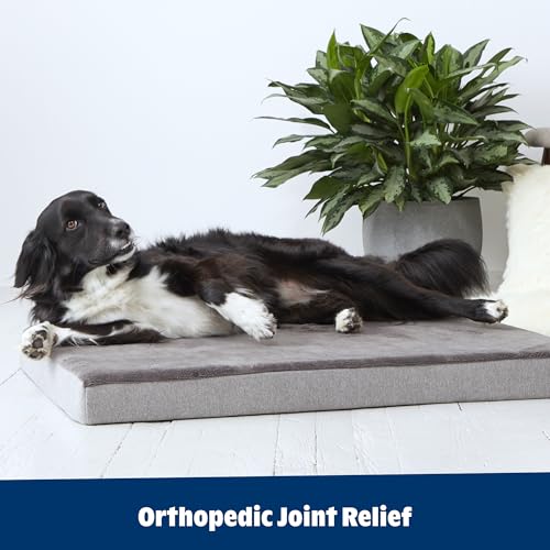 Orthopedic Dog Bed (Grey / X-Large)